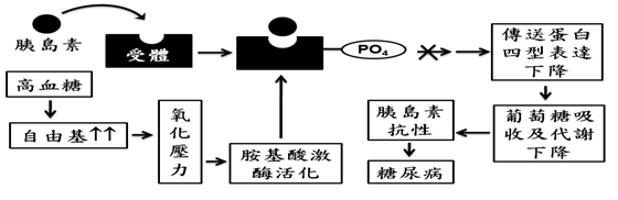 氫分子 糖尿病