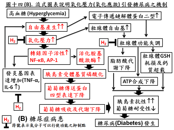 氫氣 糖尿病