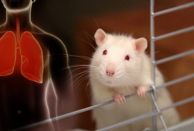 吸氫氣預防舒緩COPD