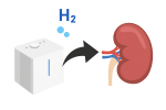 氫氣與腎臟